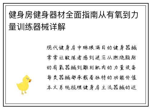 健身房健身器材全面指南从有氧到力量训练器械详解