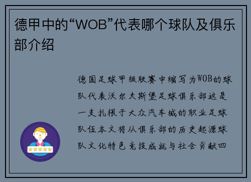 德甲中的“WOB”代表哪个球队及俱乐部介绍